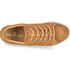 Carlington SERIAL