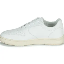 Clae MALONE