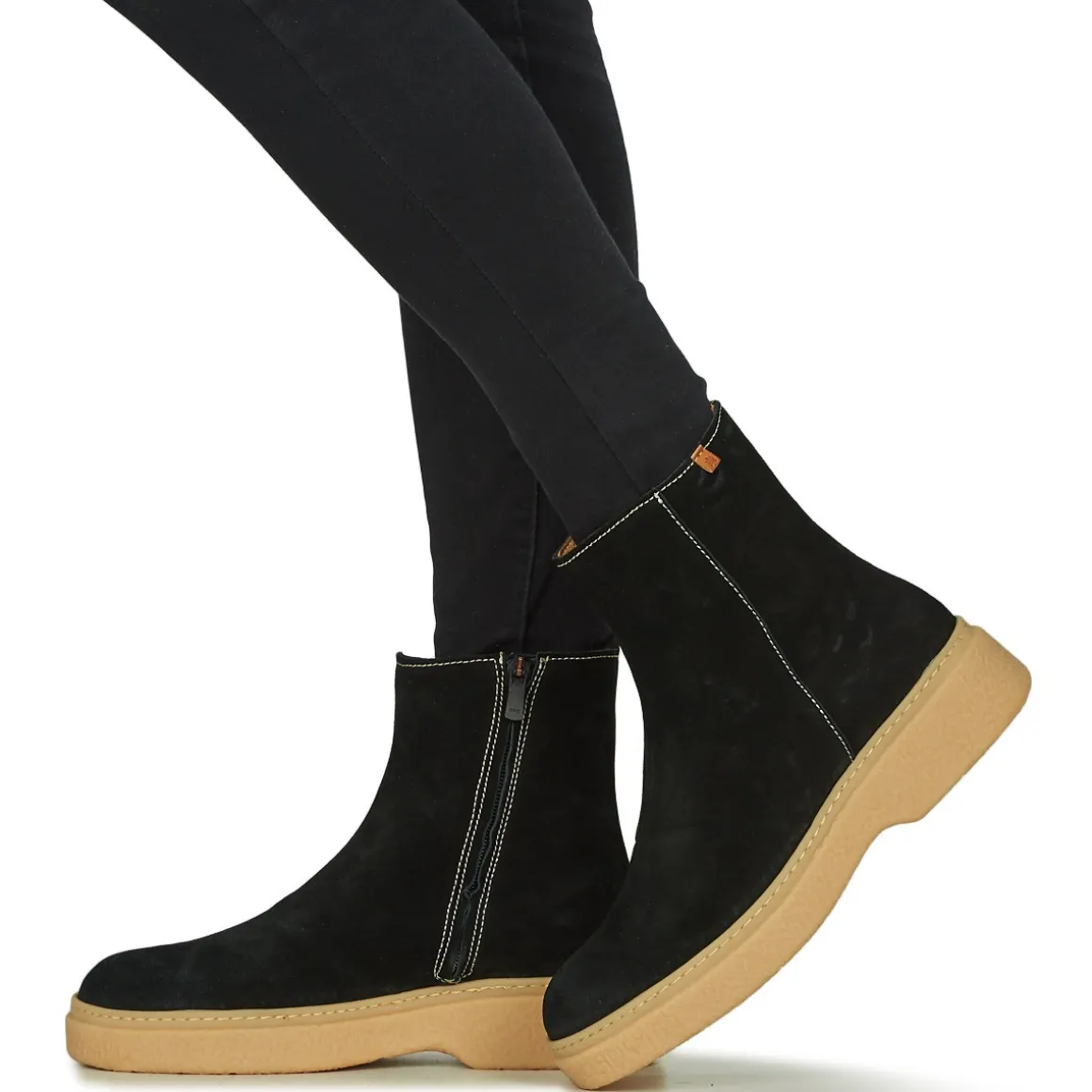 El Naturalista ARPEA N5901