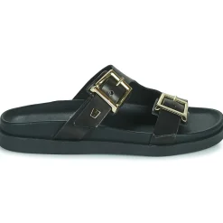 JB Martin AUDACE