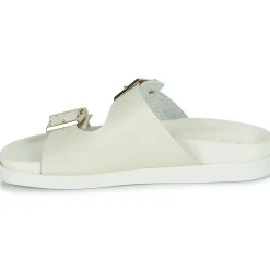 JB Martin AUDACE