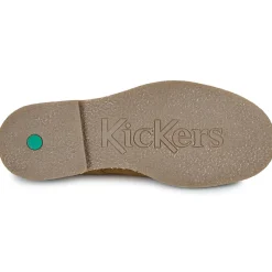 Kickers Kick Levy
