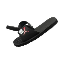 Klipklapper Puma