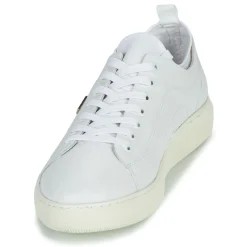 Lave sneakers Barbour