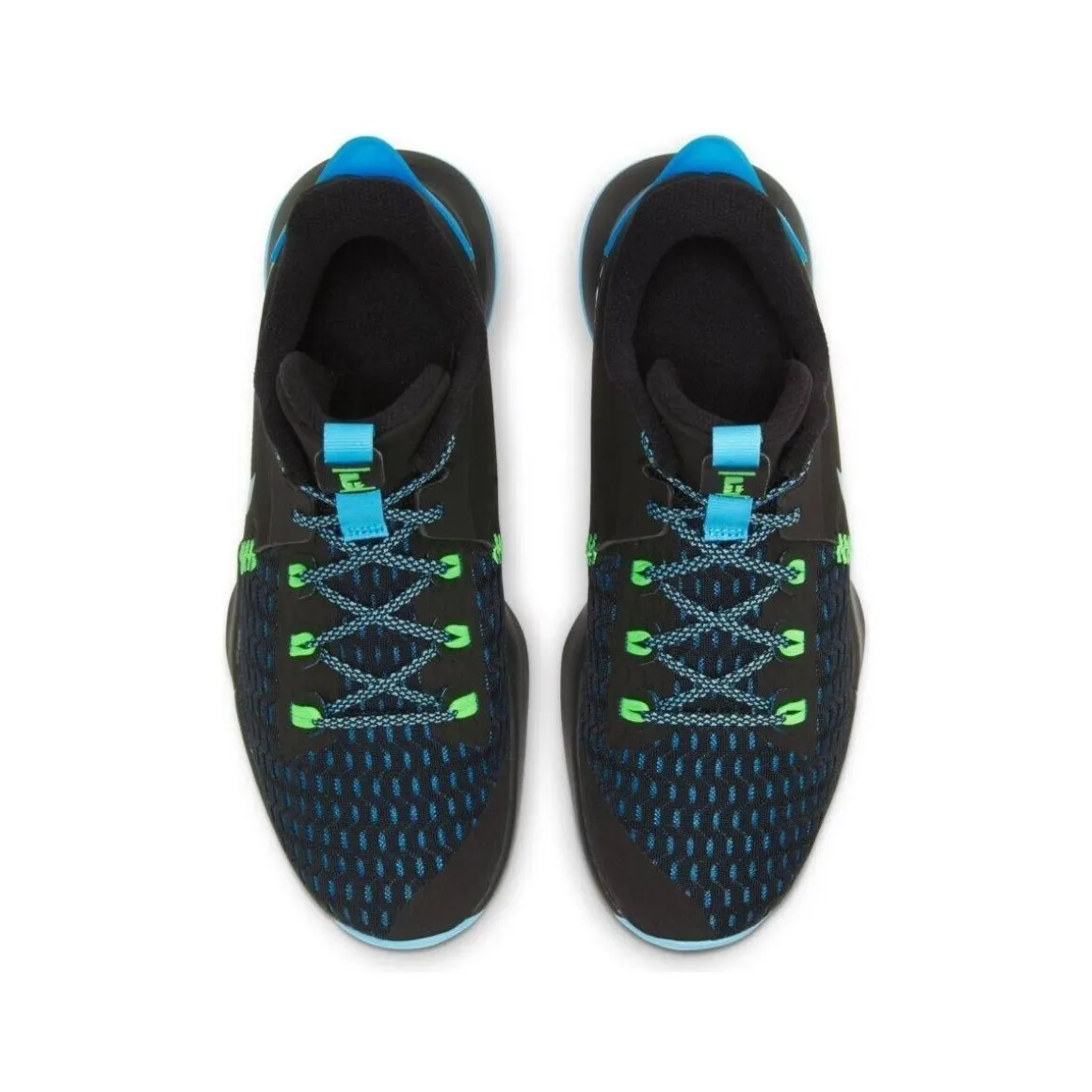 Nike Lebron Witness V