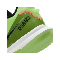 Nike Lebron Witness V
