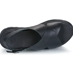 Palladium Pallacruise