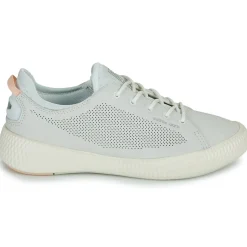 Palladium PALLANOVA LTH