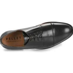 Pellet BREST