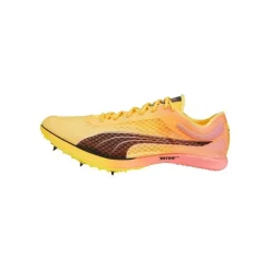 Puma EvoSpeed
