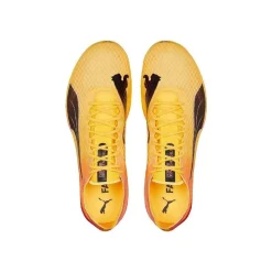Puma EvoSpeed