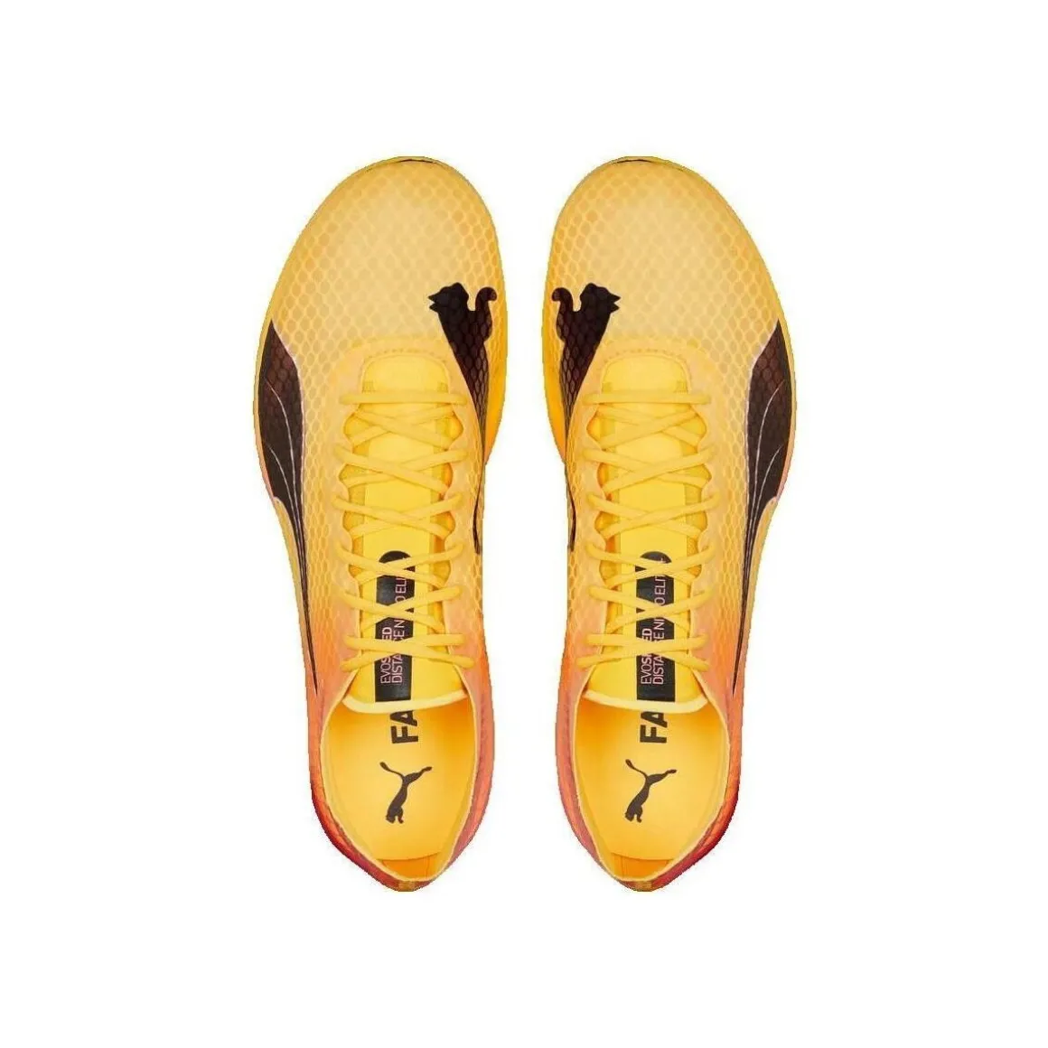 Puma EvoSpeed