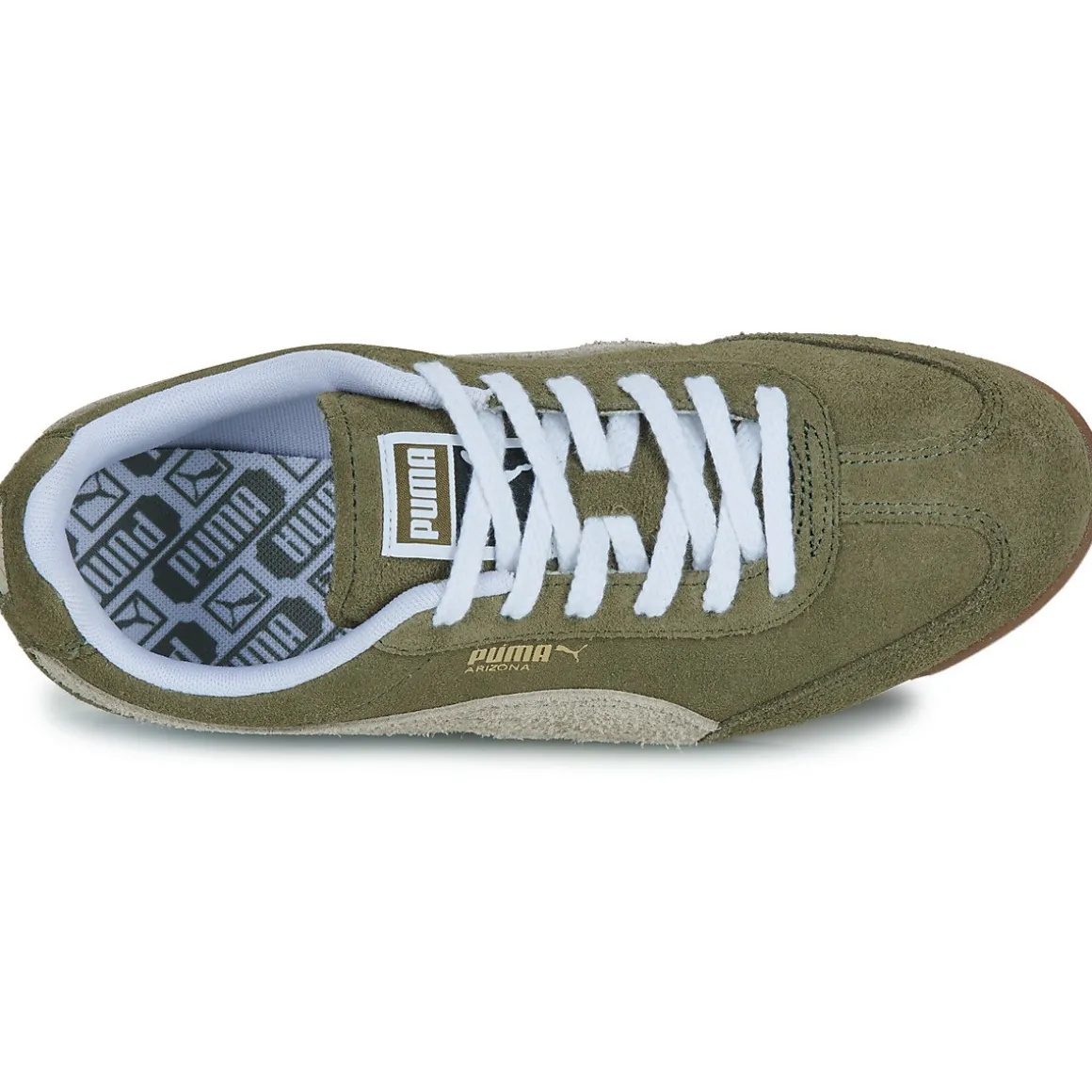 Puma ARIZONA
