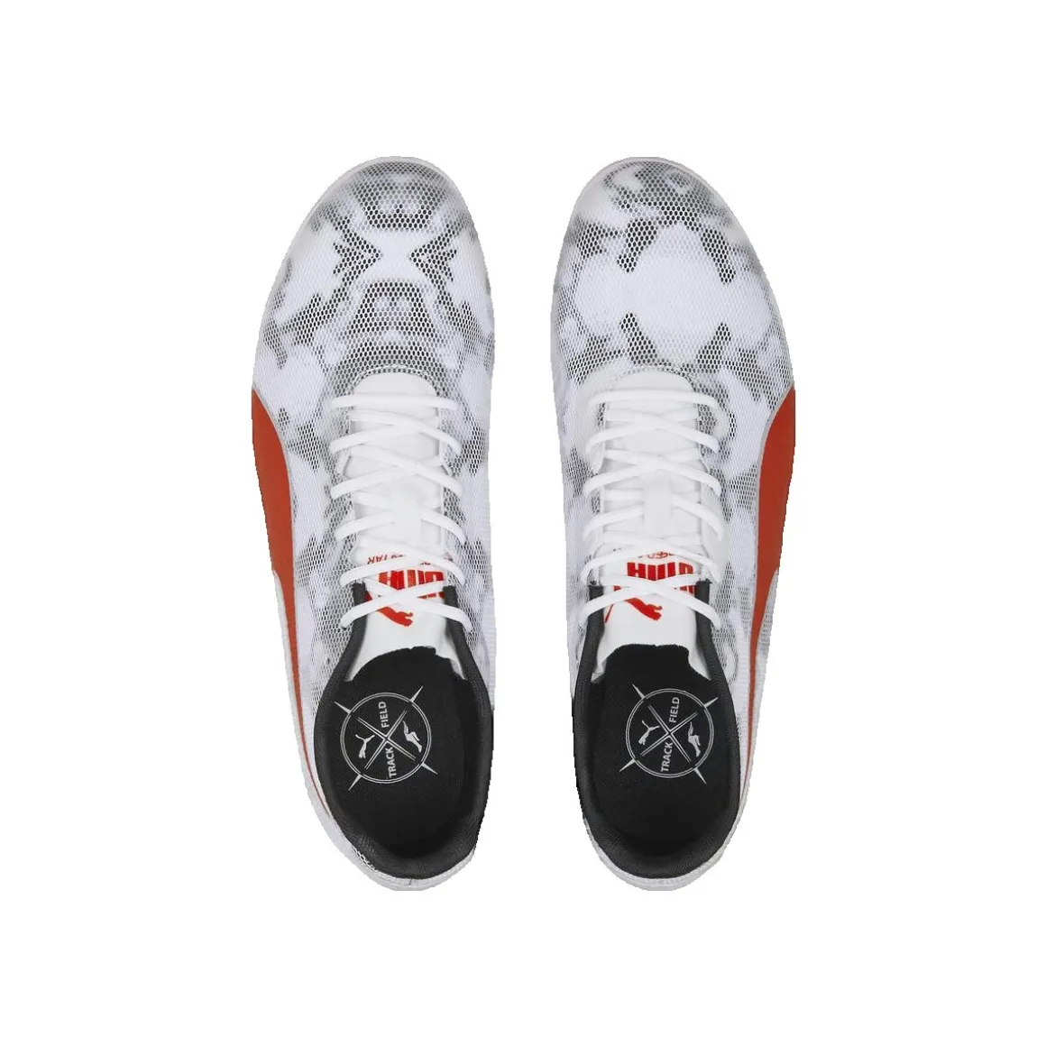 Puma EvoSpeed