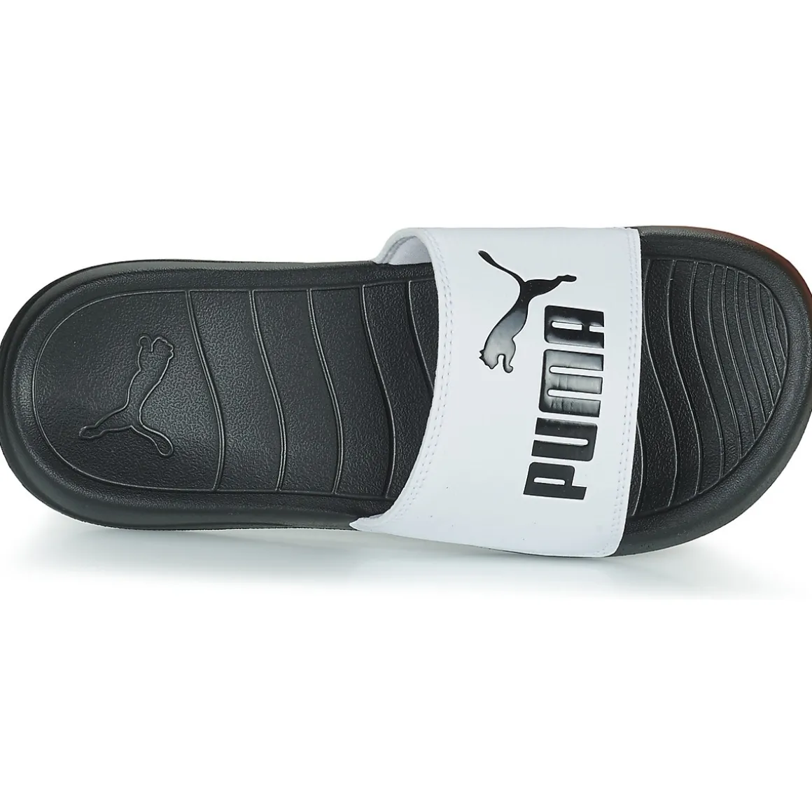 Puma Popcat