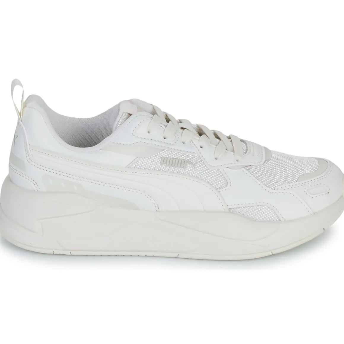 Puma X-ray