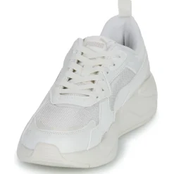 Puma X-ray