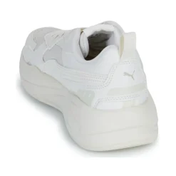Puma X-ray
