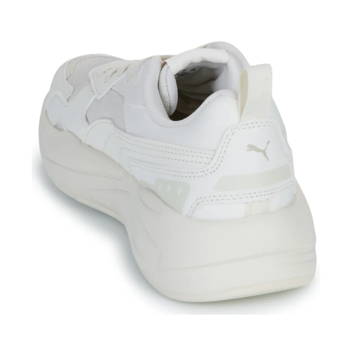 Puma X-ray