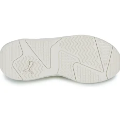 Puma X-ray