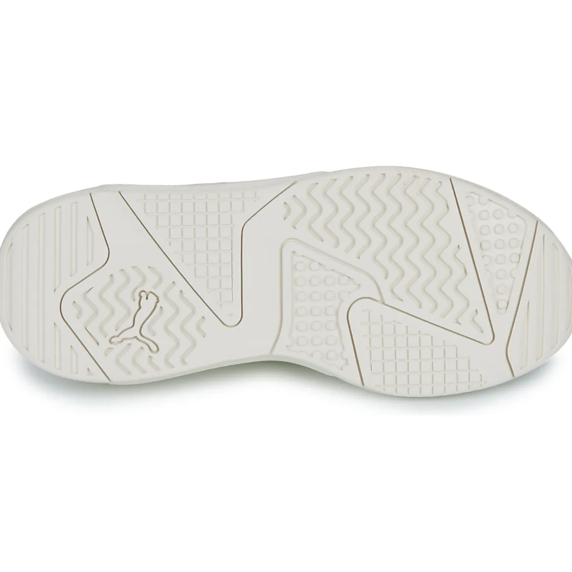 Puma X-ray