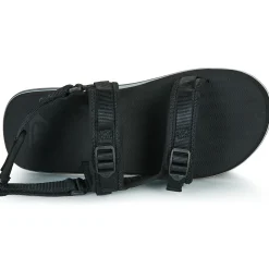 Quiksilver Monkey Caged
