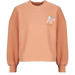 Sweatshirts Newtone