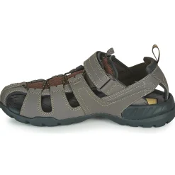 Teva FOREBAY