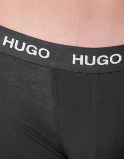 Trunks HUGO